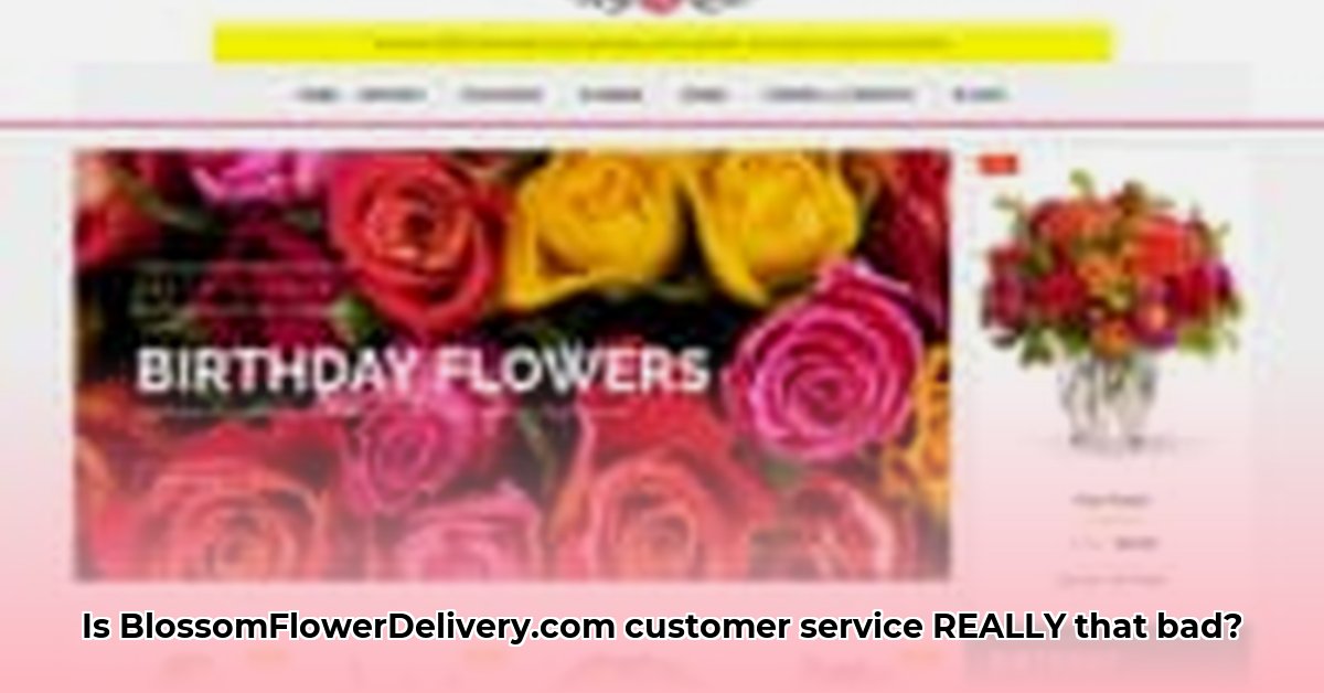 blossomflowerdelivery-com-customer-service